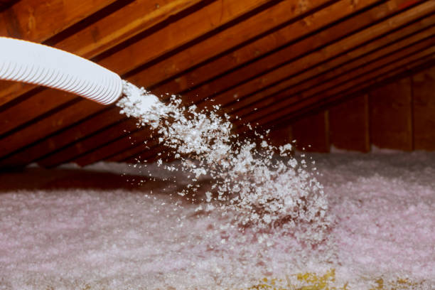 Professional Insulation Contractor in Little River, SC