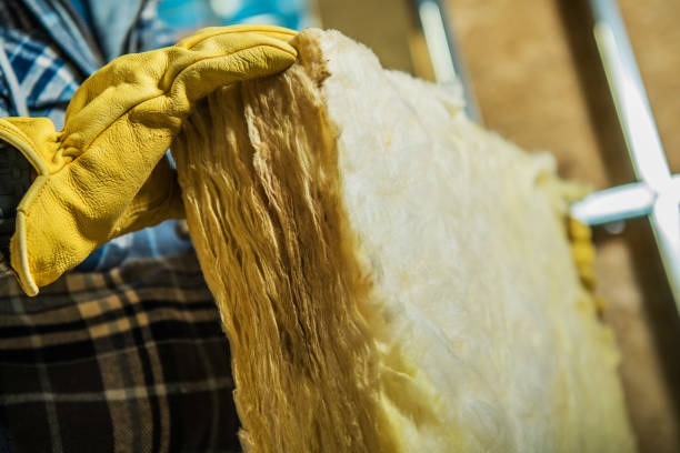 Best Spray Foam Insulation  in Little River, SC