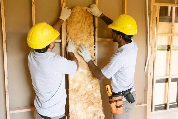Insulation Replacement Services in Little River, SC