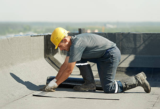 Best Spray Foam Insulation  in Little River, SC