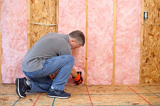 Best Energy-efficient Insulation  in Little River, SC