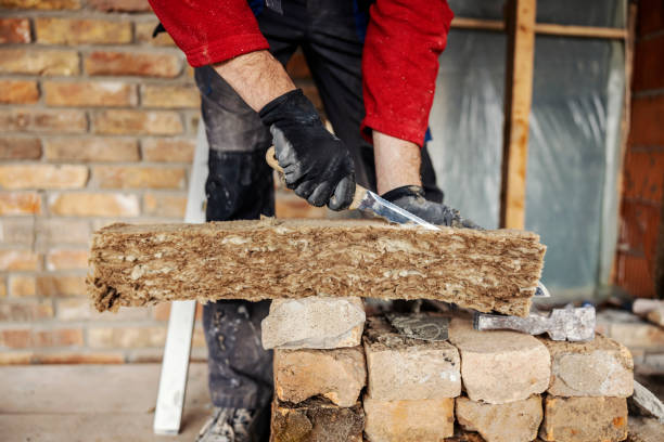 Best Insulation Removal  in Little River, SC