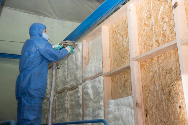 Best Insulation Replacement Services  in Little River, SC
